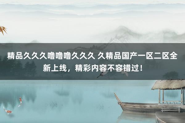 精品久久久噜噜噜久久久 久精品国产一区二区全新上线，精彩内容不容错过！