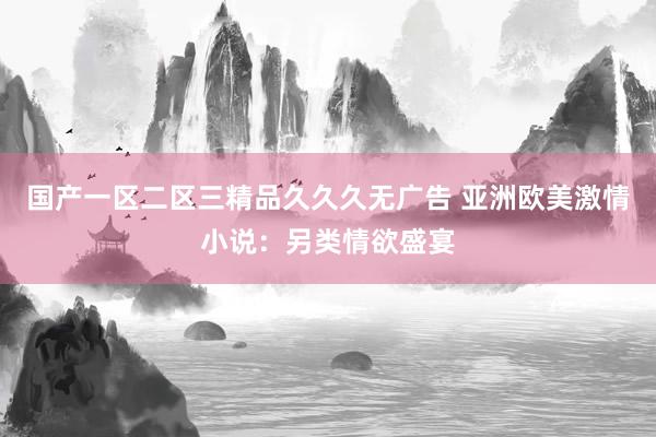 国产一区二区三精品久久久无广告 亚洲欧美激情小说：另类情欲盛宴