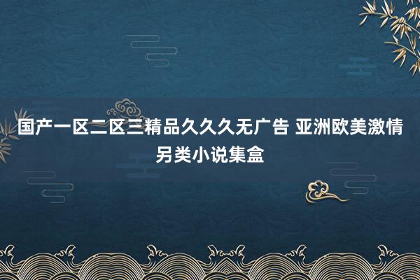 国产一区二区三精品久久久无广告 亚洲欧美激情另类小说集盒