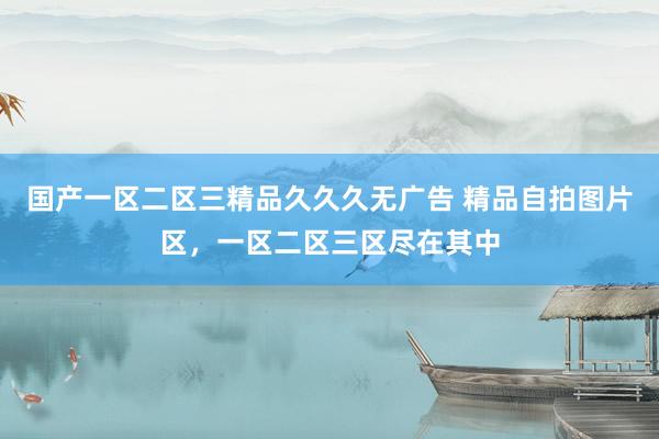 国产一区二区三精品久久久无广告 精品自拍图片区，一区二区三区尽在其中
