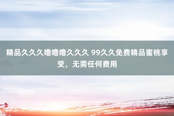 精品久久久噜噜噜久久久 99久久免费精品蜜桃享受，无需任何费用