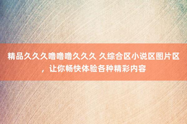 精品久久久噜噜噜久久久 久综合区小说区图片区，让你畅快体验各种精彩内容