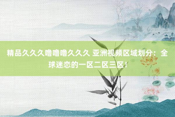 精品久久久噜噜噜久久久 亚洲视频区域划分：全球迷恋的一区二区三区！