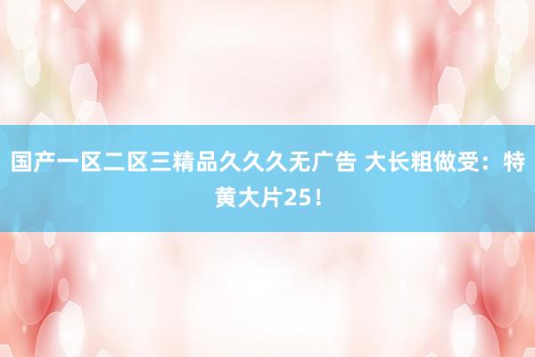 国产一区二区三精品久久久无广告 大长粗做受：特黄大片25！
