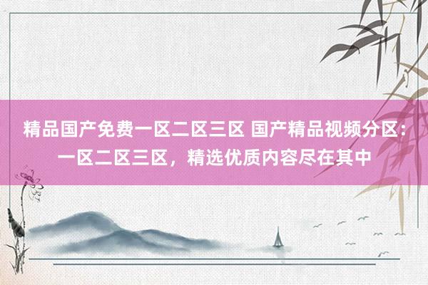 精品国产免费一区二区三区 国产精品视频分区：一区二区三区，精选优质内容尽在其中