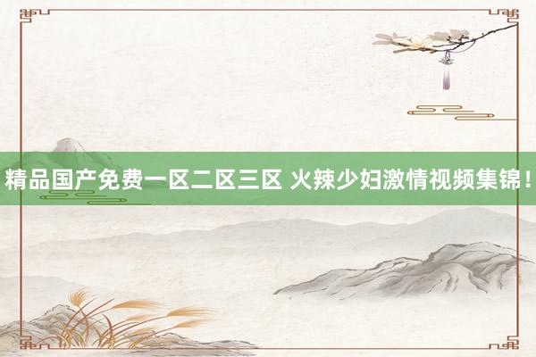 精品国产免费一区二区三区 火辣少妇激情视频集锦！