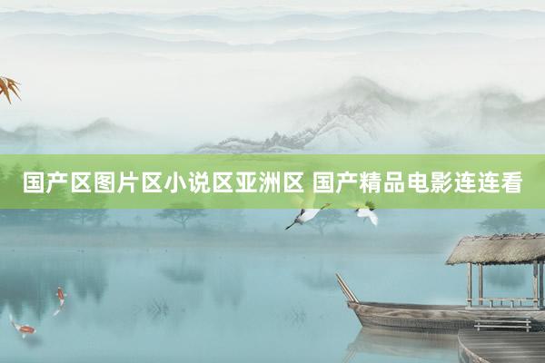 国产区图片区小说区亚洲区 国产精品电影连连看