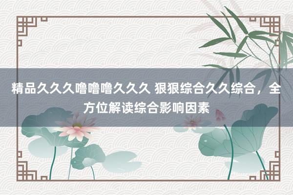 精品久久久噜噜噜久久久 狠狠综合久久综合，全方位解读综合影响因素