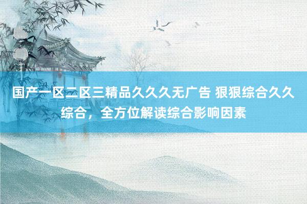 国产一区二区三精品久久久无广告 狠狠综合久久综合，全方位解读综合影响因素