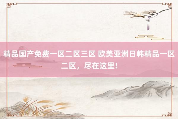精品国产免费一区二区三区 欧美亚洲日韩精品一区二区，尽在这里!