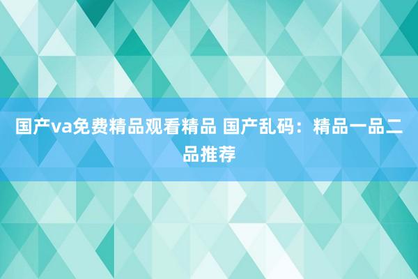 国产va免费精品观看精品 国产乱码：精品一品二品推荐